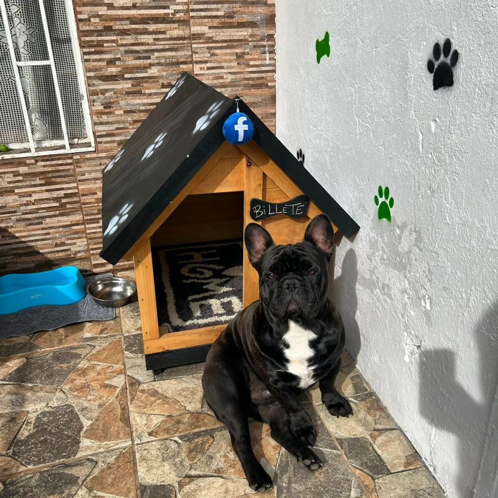 Proyecto pequeño bajo