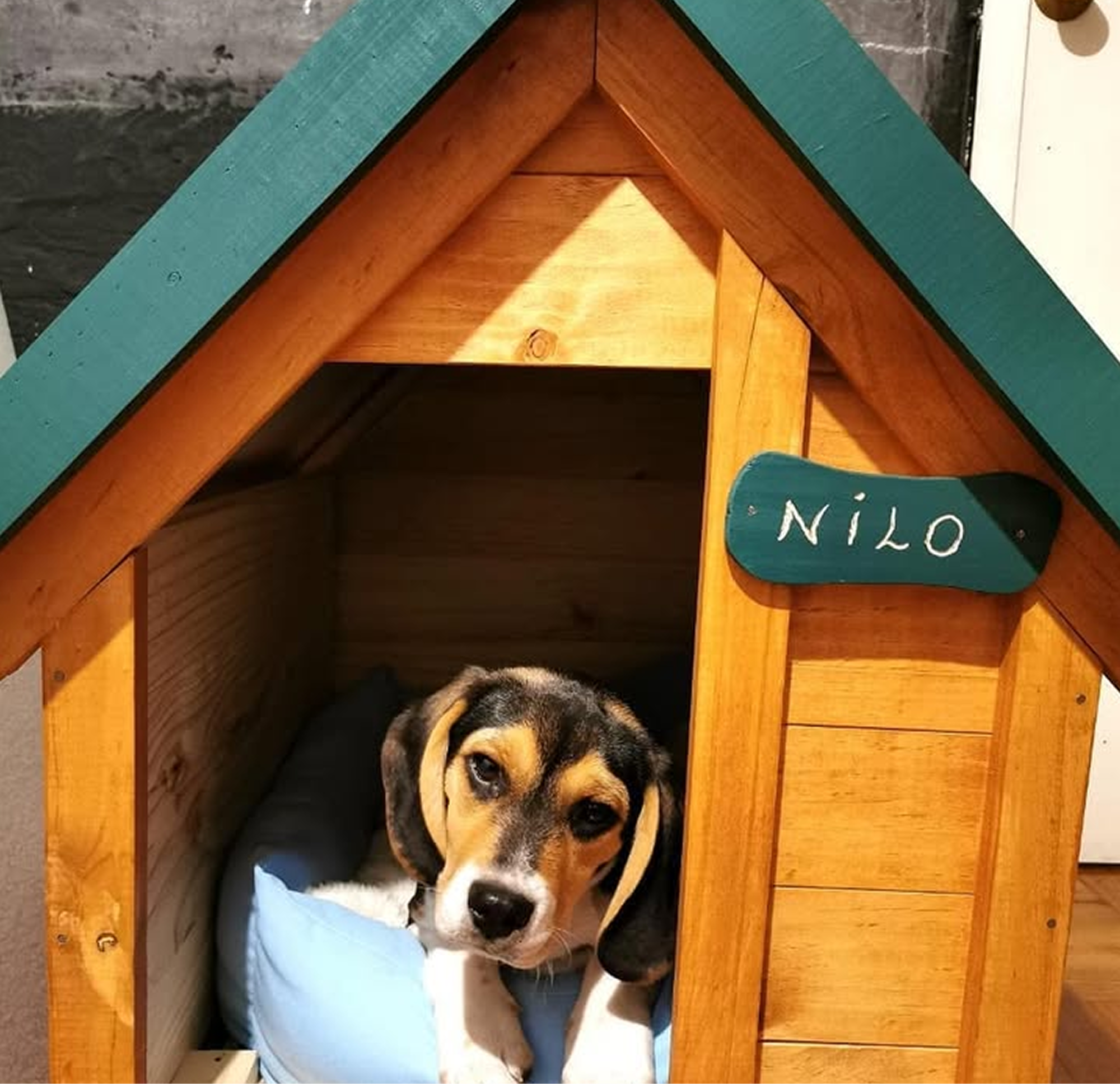 Casita para perros personalizada