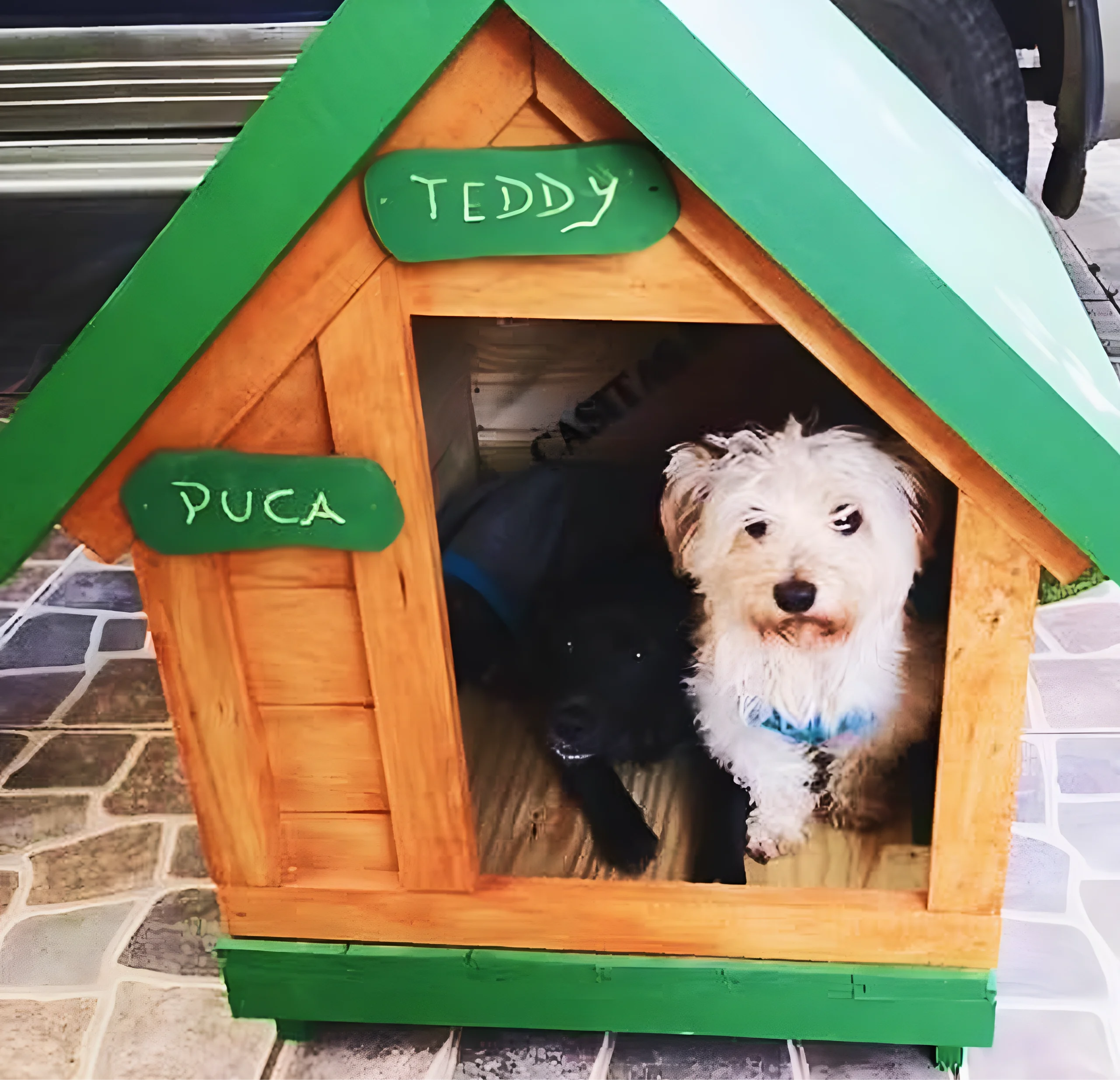 Casita para perros personalizada