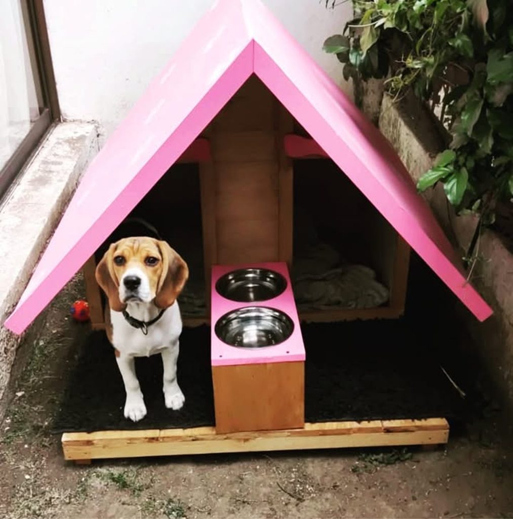 Proyecto pequeño superior